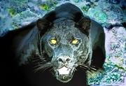 Black Panther Mousepad